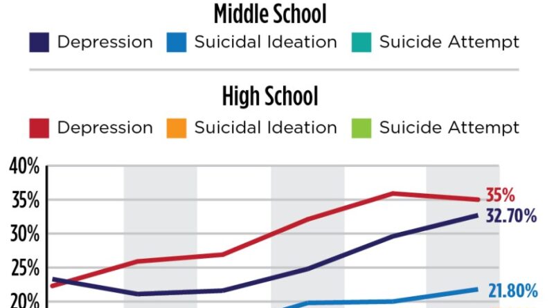 Sweetser cannot support its mental health services in Maine's 18 school districts